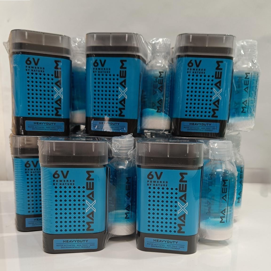 Dolphin lantern replacement battery 6V MaXaem Battery